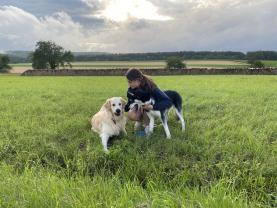 Service : chien Service : chien