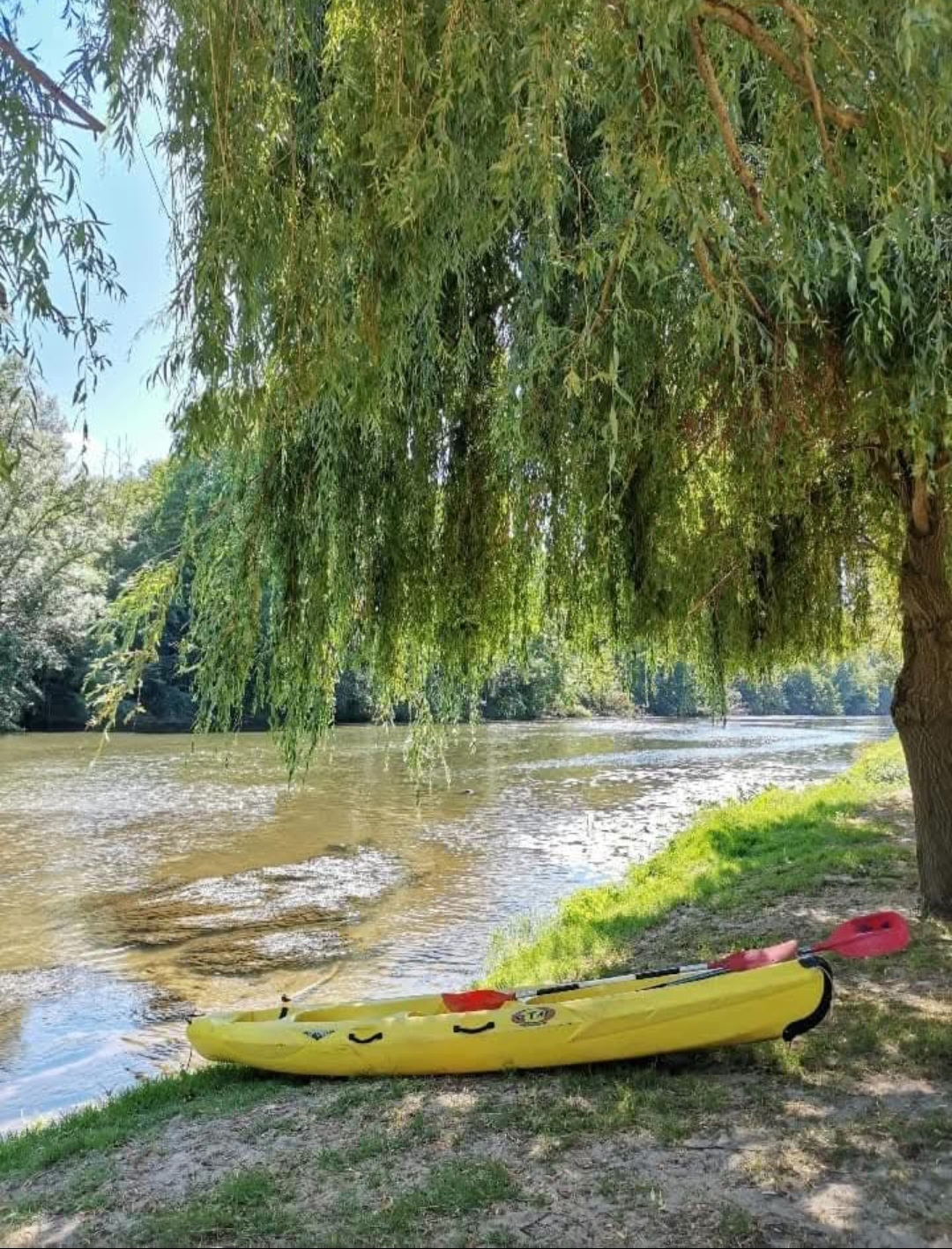 Location autre 81 entre particuliers