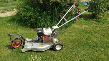 Location : tondeuse Location : tondeuse