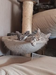 Demander une garde