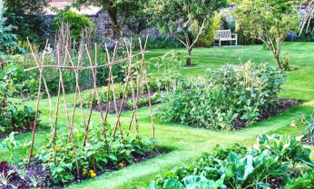 Location jardin potager entre particuliers