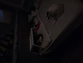 Service : chat Service : chat