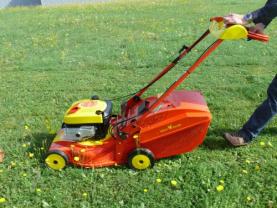 Service : tonte de pelouse Service : tonte de pelouse