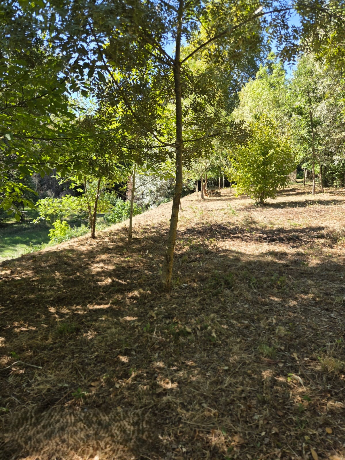 Location motoculteur entre particuliers (11)