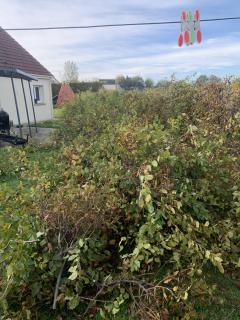 Service : entretien espace vert Service : entretien espace vert