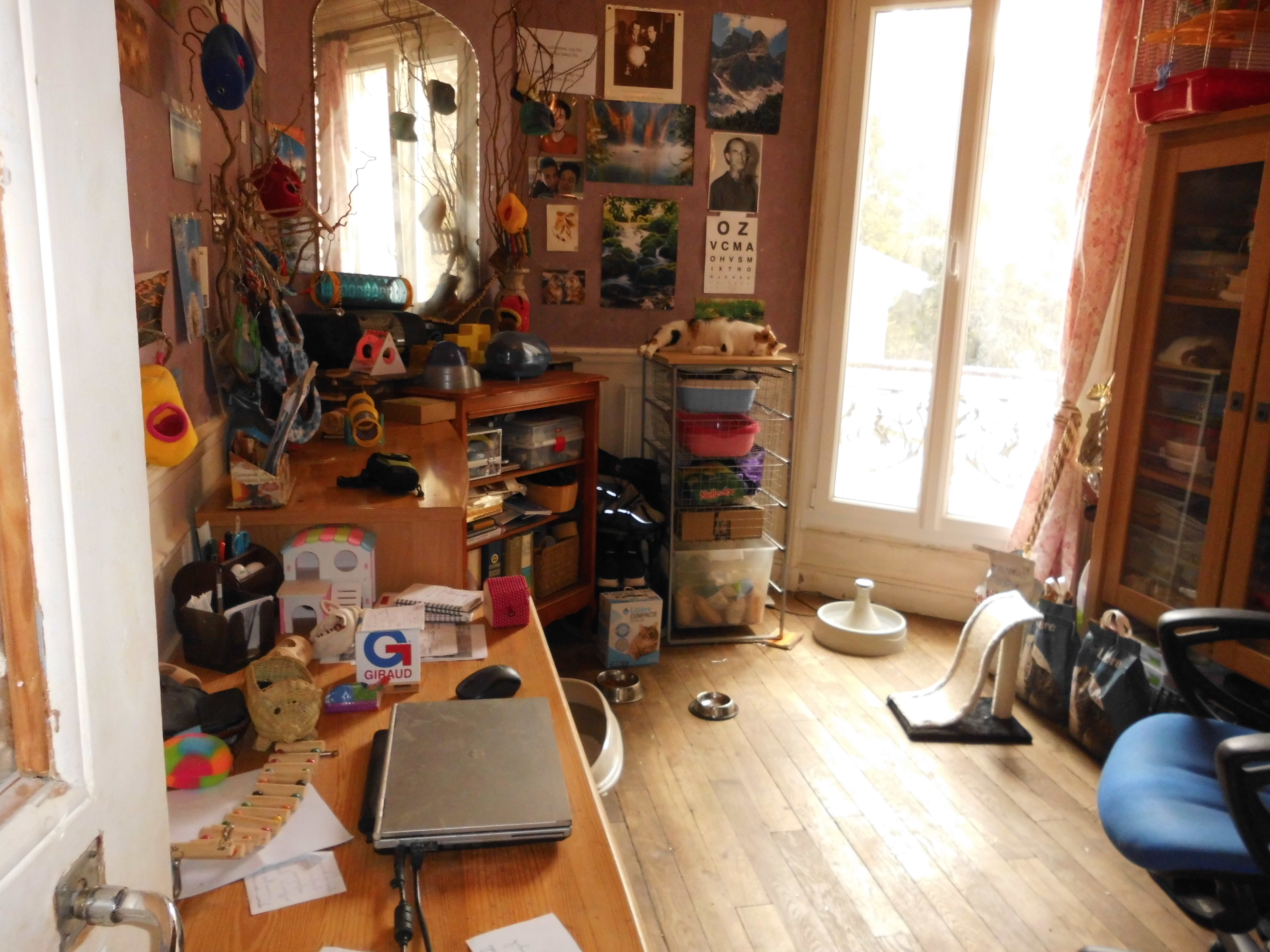 Service garde lapin 75 entre particuliers