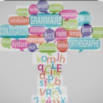 Service : cours de langue Service : cours de langue