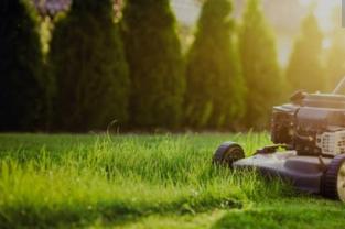 Service : tonte de pelouse Service : tonte de pelouse