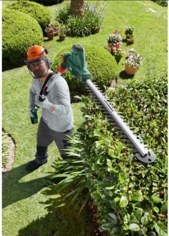 Location : taille haie Location : taille haie