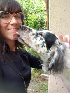 Service : garde animaux Service : garde animaux