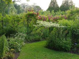 Service : elagage Service : elagage