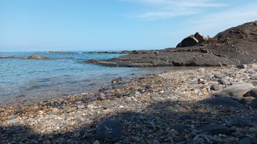 Service : garde animaux Service : garde animaux