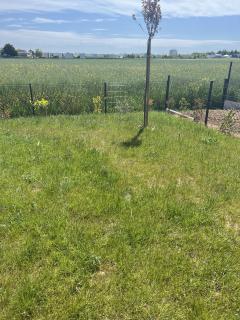 Service : tonte de pelouse Service : tonte de pelouse