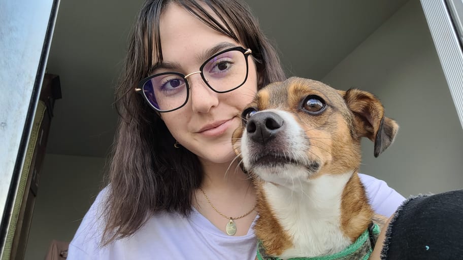 Service garde animaux 16 entre particuliers