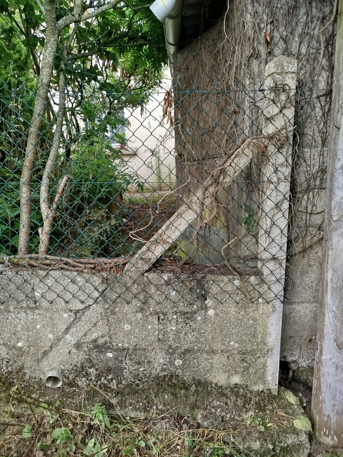 Service renovation interieure 61 entre particuliers