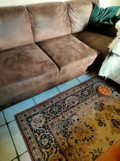 Location : shampouineuse Location : shampouineuse