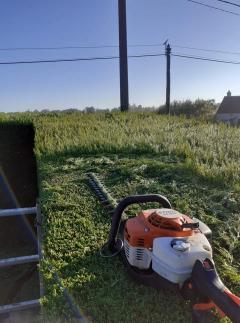 Service : taille de haies Service : taille de haies