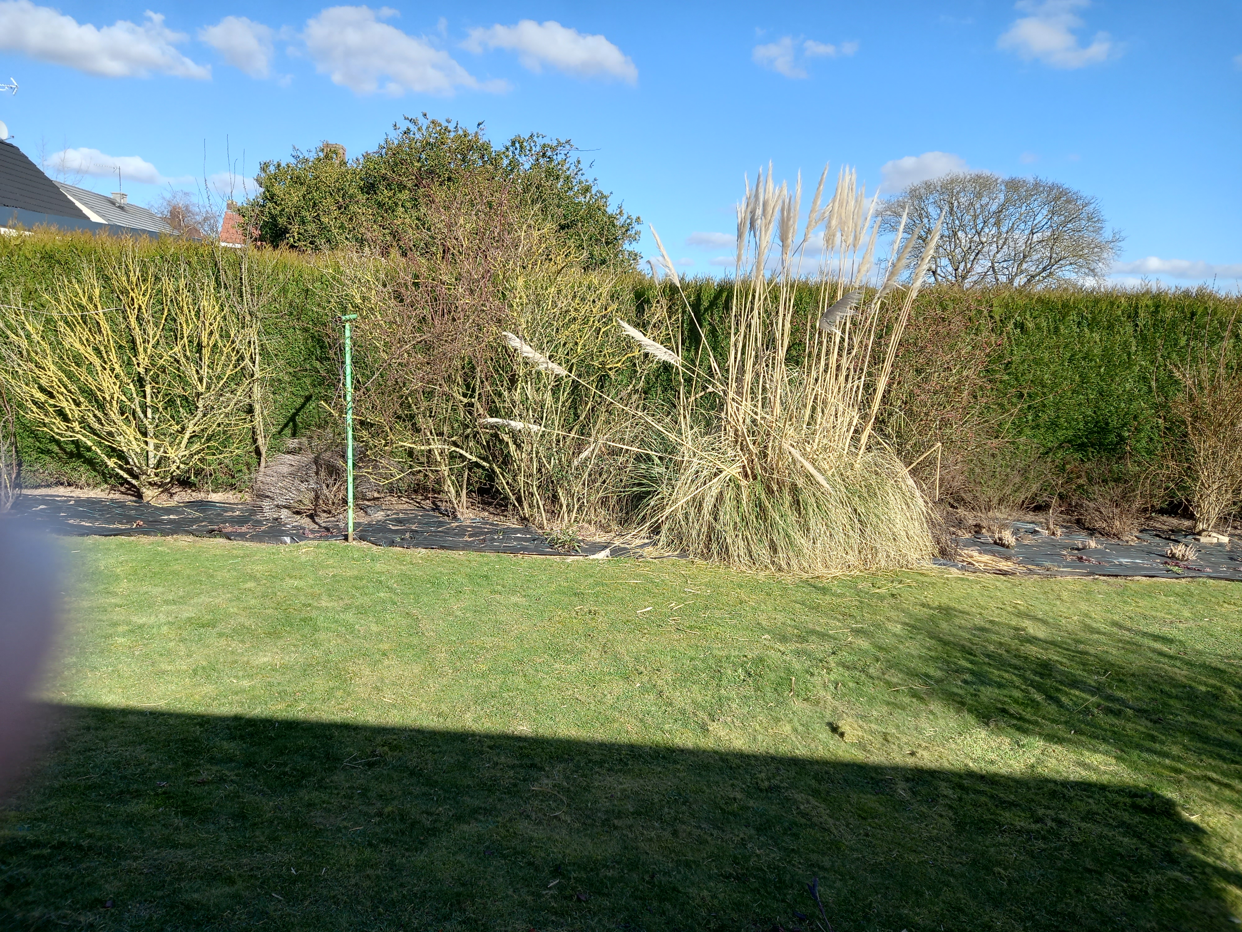 Service amenagement jardin 62 entre particuliers