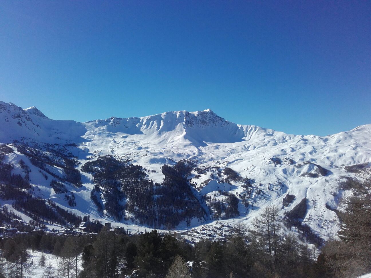 Service chien 05 entre particuliers