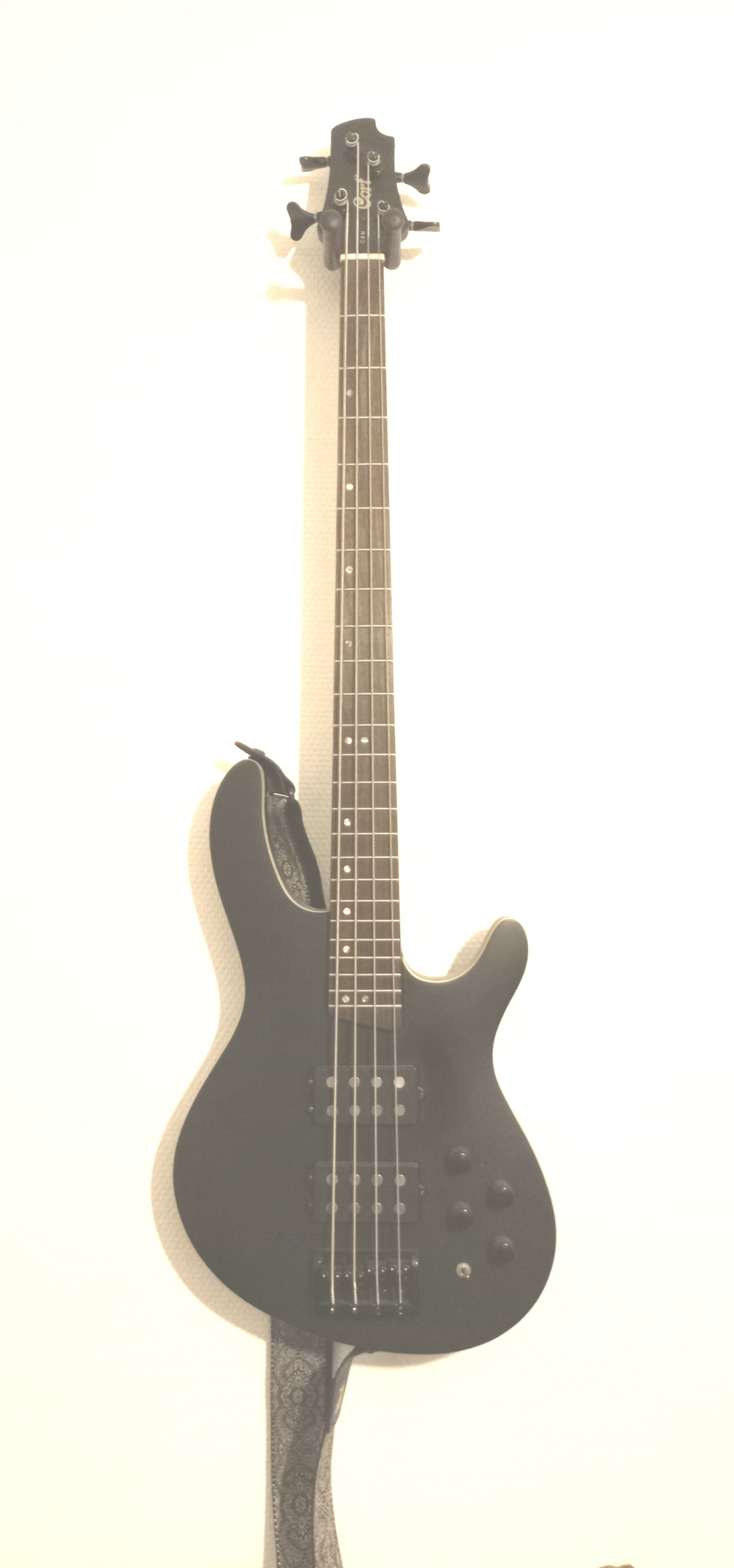 Location guitare 38 entre particuliers