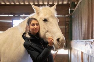 Service : garde animaux Service : garde animaux