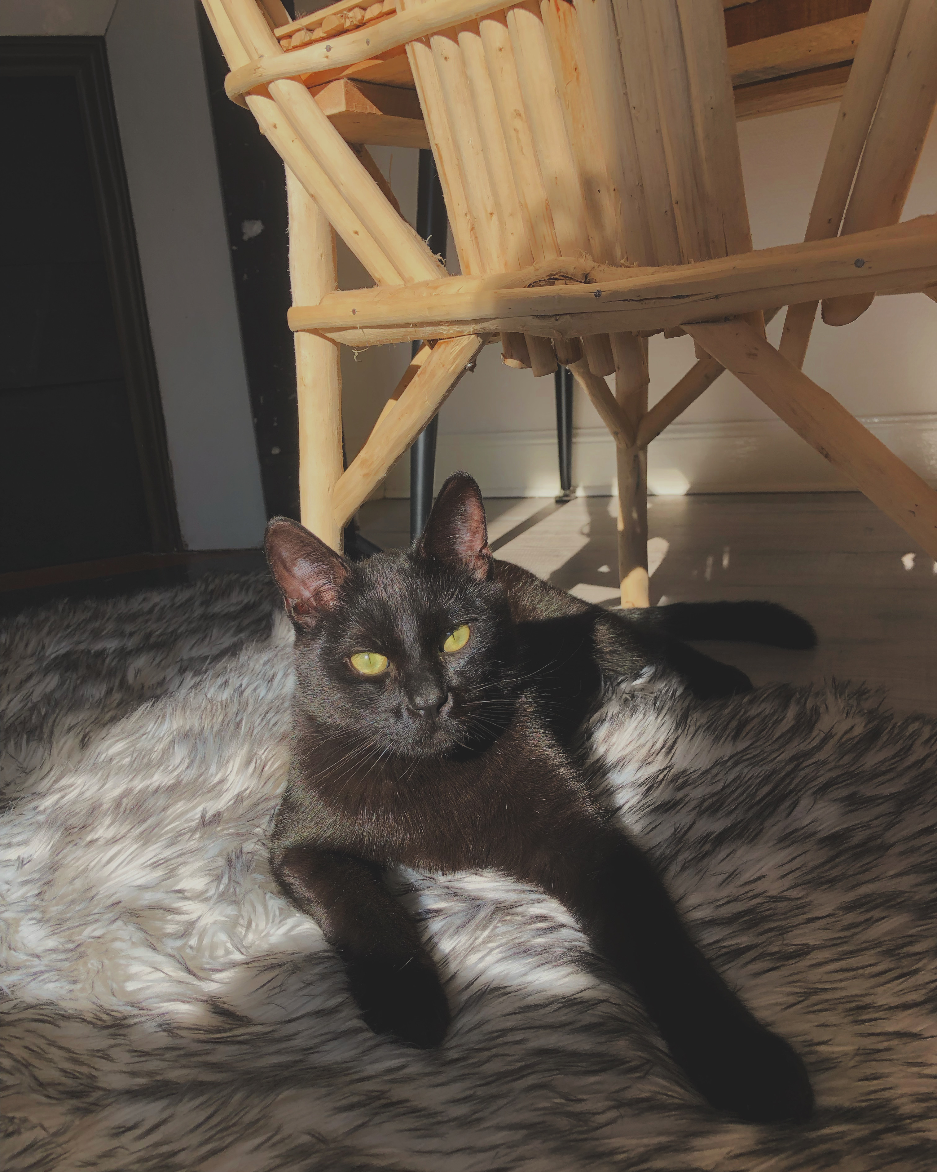 Service chat 51 entre particuliers