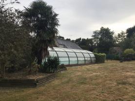 Service : chien Service : chien