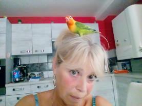 Demander une course