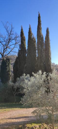 Location : camion nacelle Location : camion nacelle