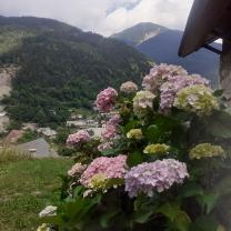 Service : entretien jardin Service : entretien jardin