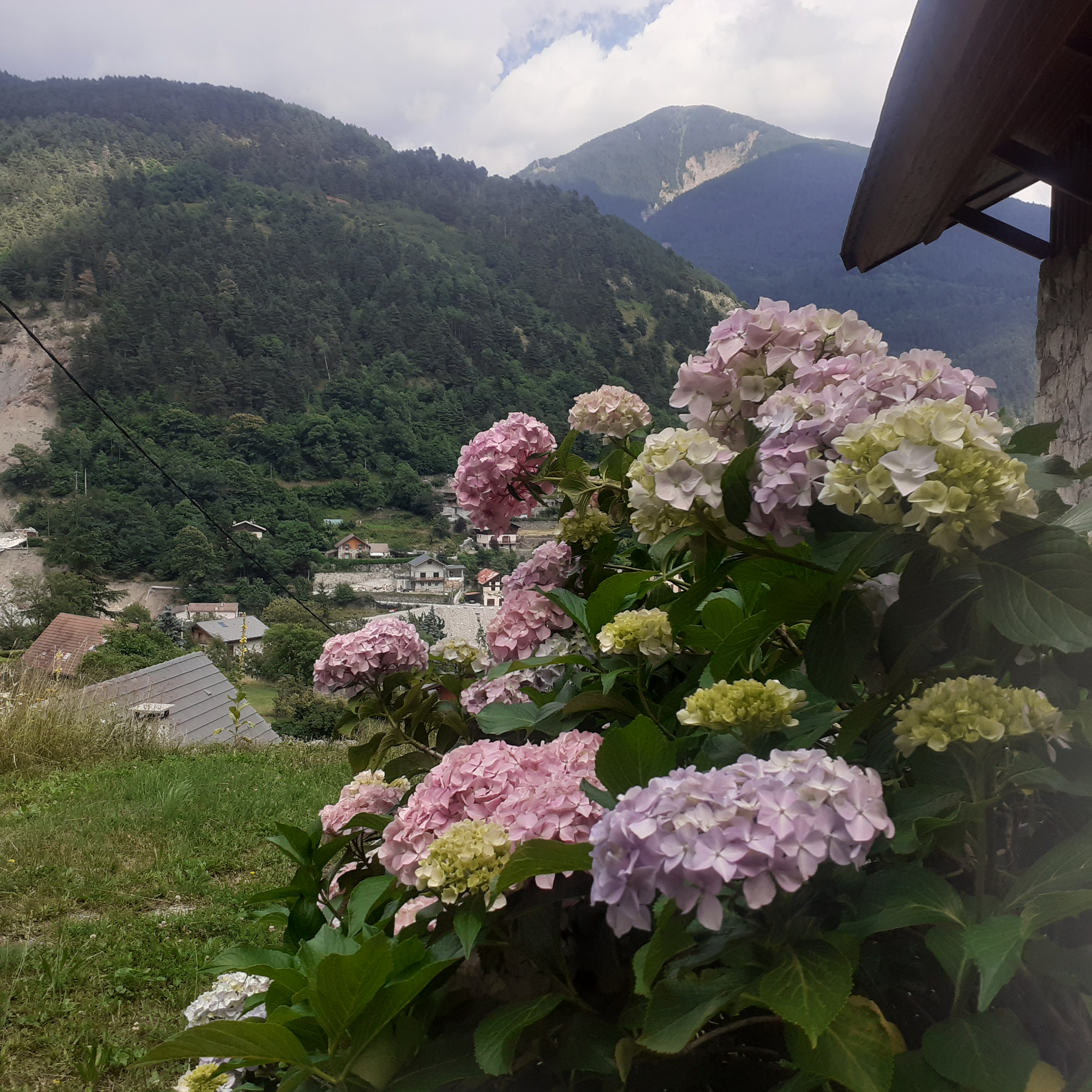 Service entretien jardin 06 entre particuliers
