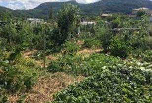 Location jardin potager entre particuliers