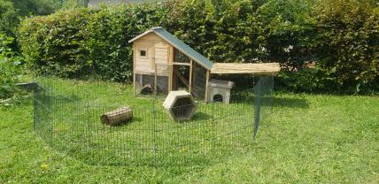 Service : garde lapin Service : garde lapin