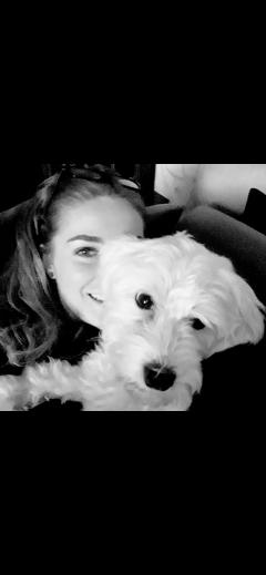 Service : garde animaux Service : garde animaux