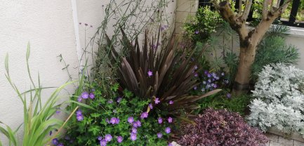 Service : jardinage