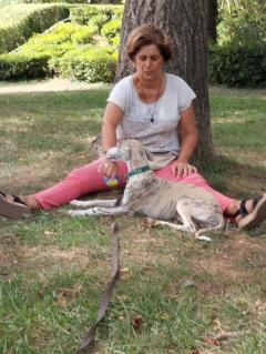 Service : transport personne Service : transport personne