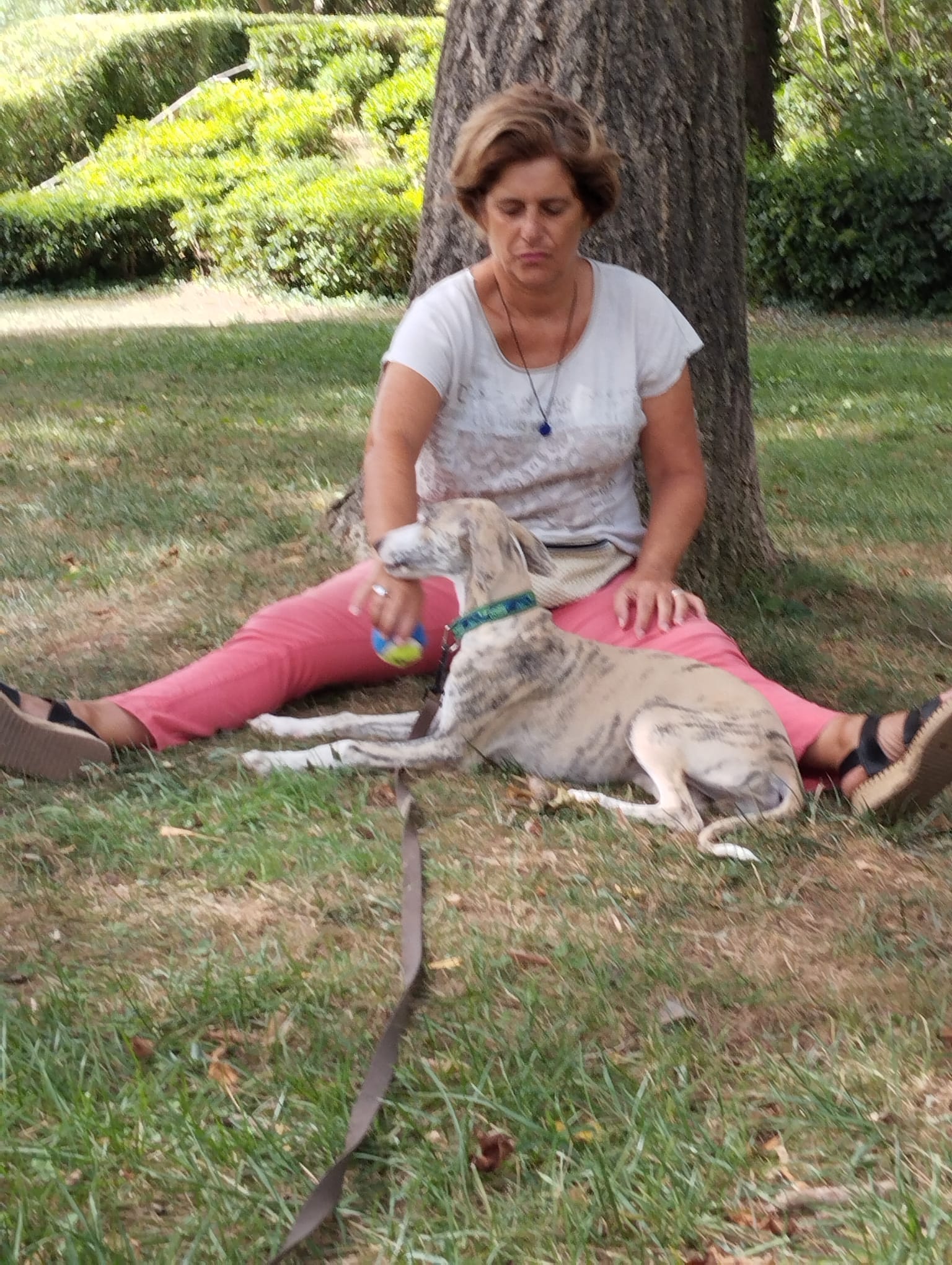 Service transport personne 83 entre particuliers
