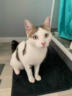 Service : chat Service : chat