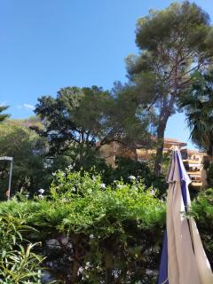 Location : autre Location : autre