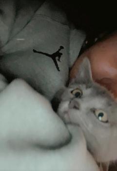 Demander ce petsitter