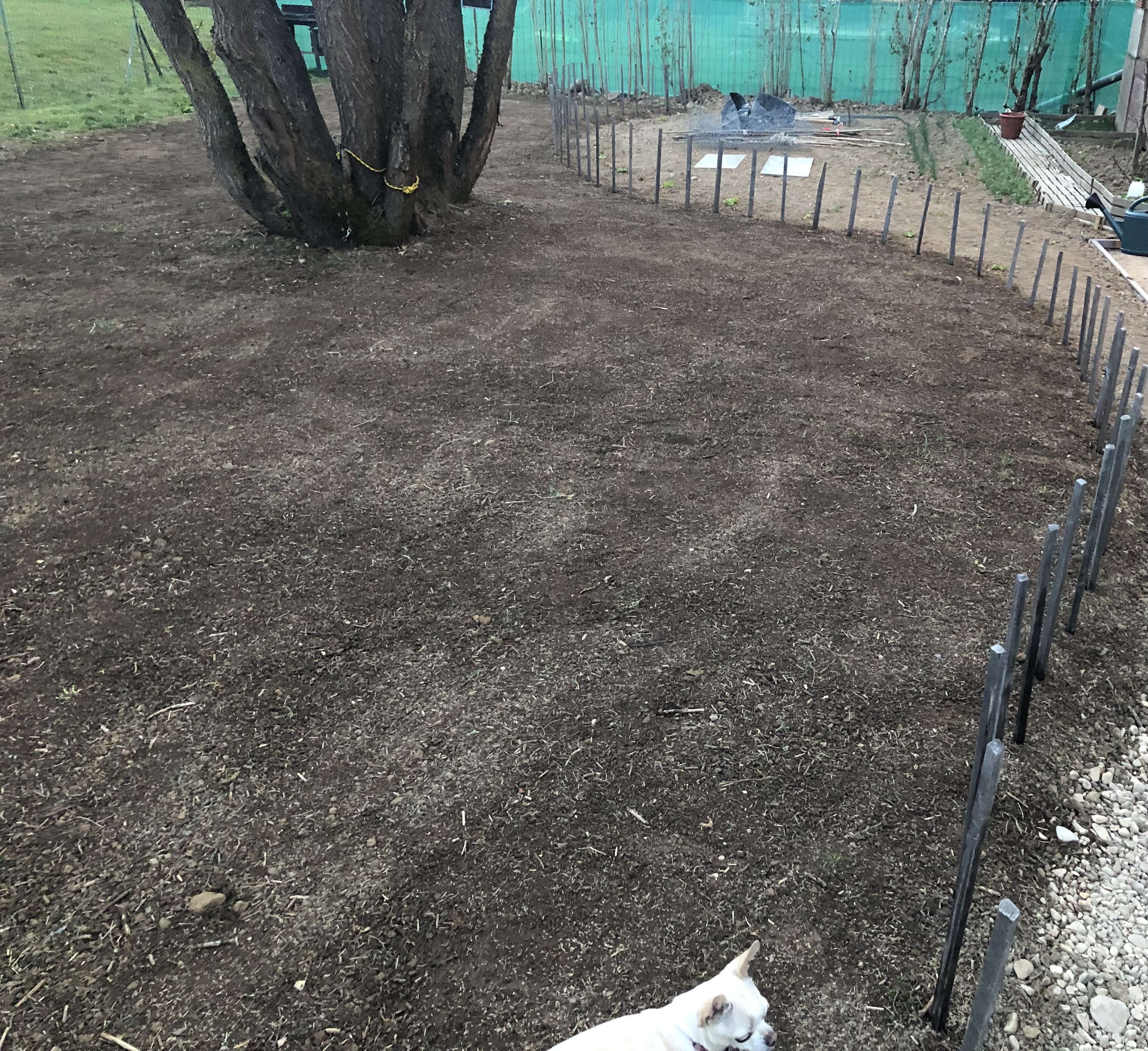 Service amenagement jardin 62 entre particuliers