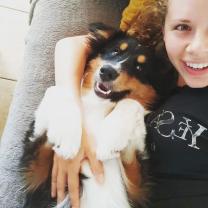 Service : garde animaux Service : garde animaux