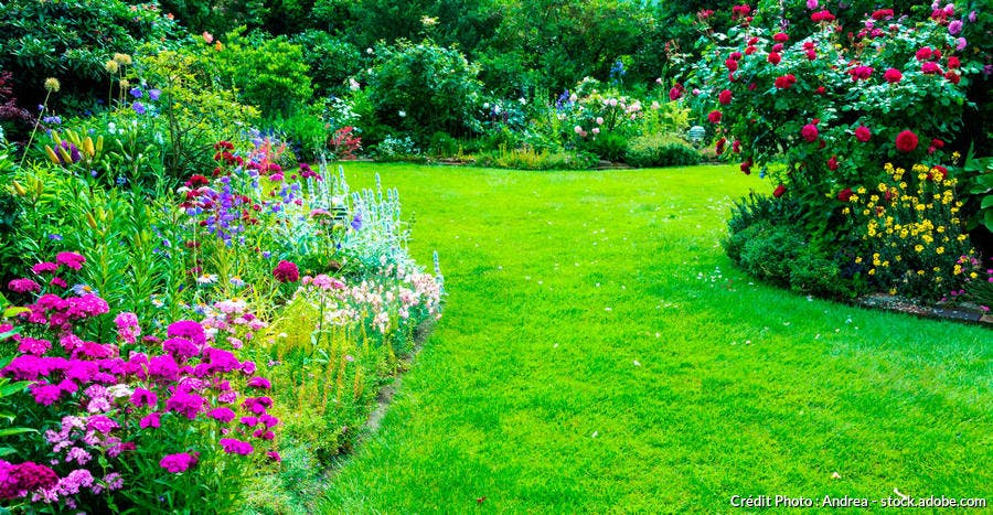 Service entretien jardin 56 entre particuliers