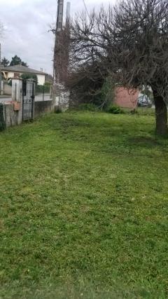 Service : tonte de pelouse Service : tonte de pelouse