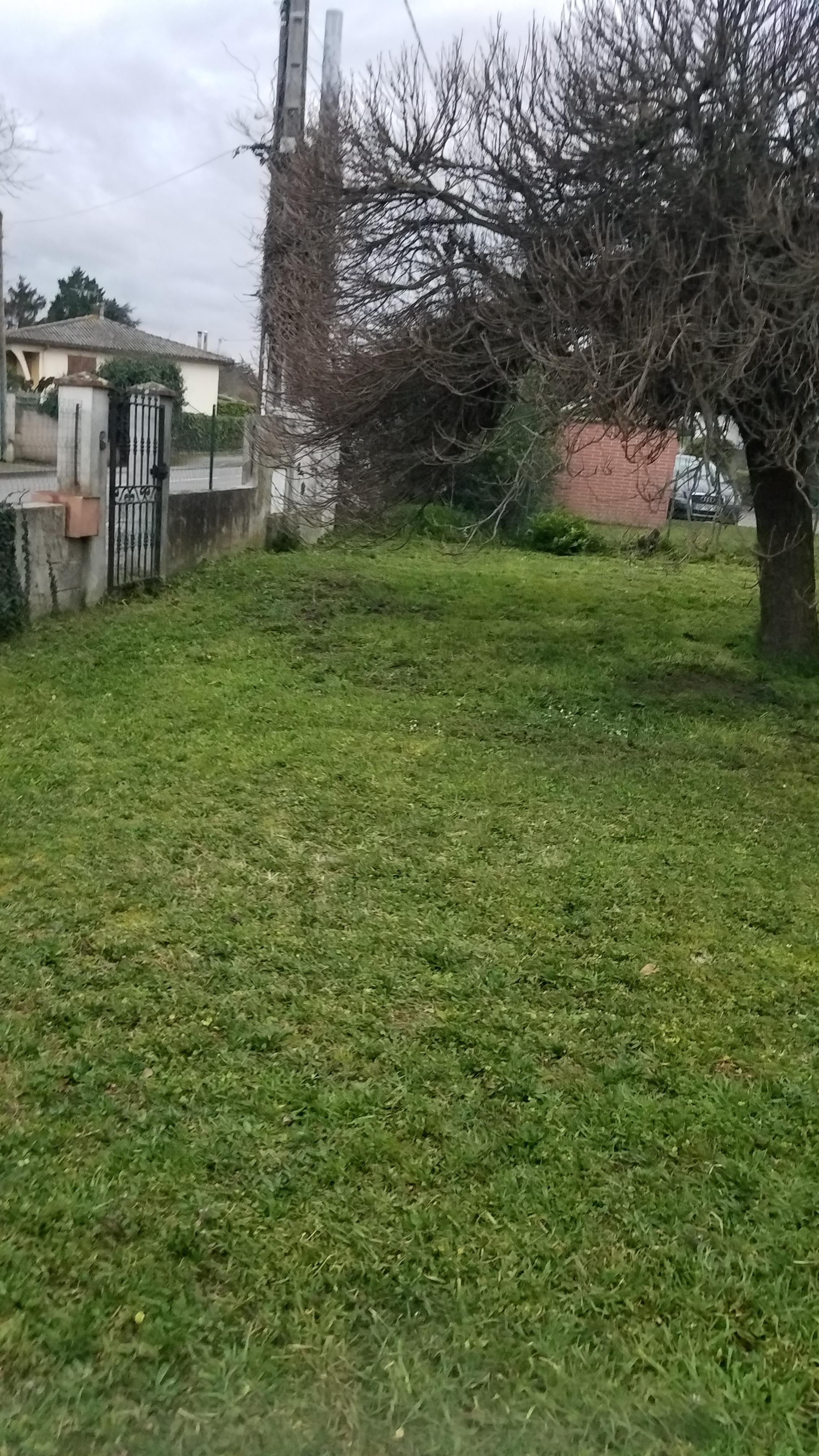 Service tonte de pelouse 31 entre particuliers