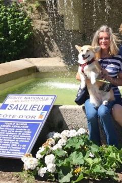 Service : garde animaux Service : garde animaux