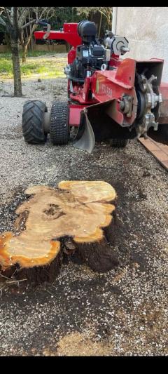 Location : rogneuse de souche Location : rogneuse de souche