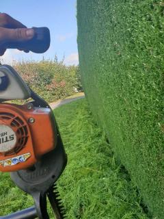 Service : entretien jardin Service : entretien jardin