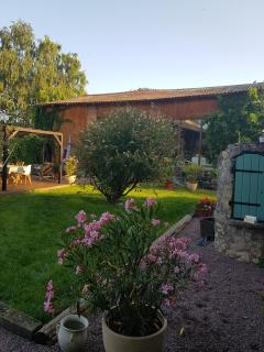 Service : chien Service : chien