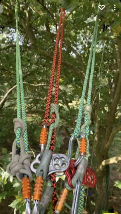 Service : elagage Service : elagage